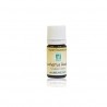 Eucalyptus Radiata HE 5ml