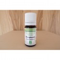 Huile essentielle BIO de Pin Sylvestre - 5ml