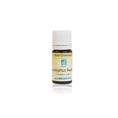 Huile essentielle d'Eucalyptus Radiata - 5mL