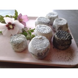 Mirvine : fromages de vache bleus