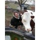 Fromage de vache au lait cru - mi-sec