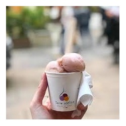 Mirvine : Sorbet cacao-orange Terre Adélice 