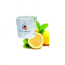 Mirvine : Sorbet citron-basilic bio Terre Adélice 