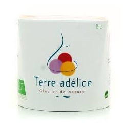 Mirvine : Sorbet chocolat au lait bio Terre Adélice 