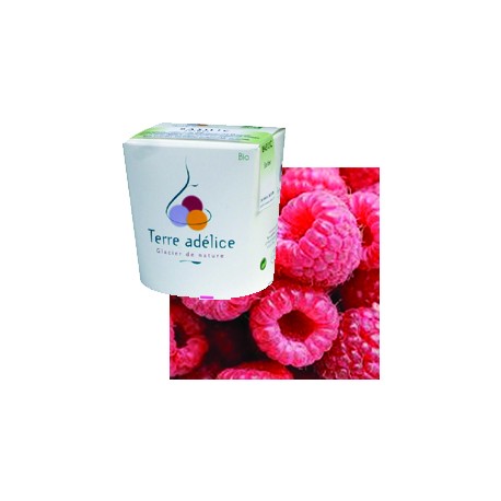 Mirvine : Sorbet framboise bio Terre Adélice