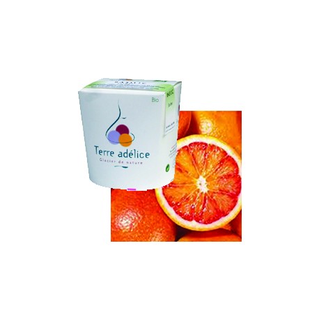 Mirvine : Sorbet orange sanguine bio Terre Adélice