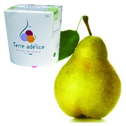 Mirvine : Sorbet poire bio Terre Adélice