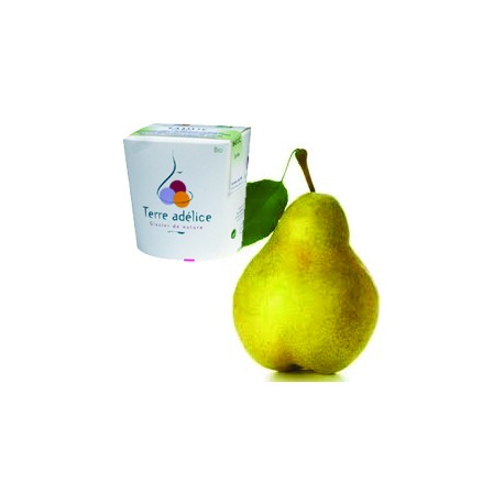 Mirvine : Sorbet poire bio Terre Adélice