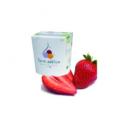 Mirvine : Sorbet fraise 120ml BIO - Terre Adélice