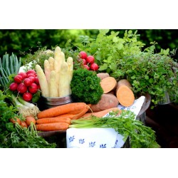 Panier fruits et légumes mini - Mirvine
